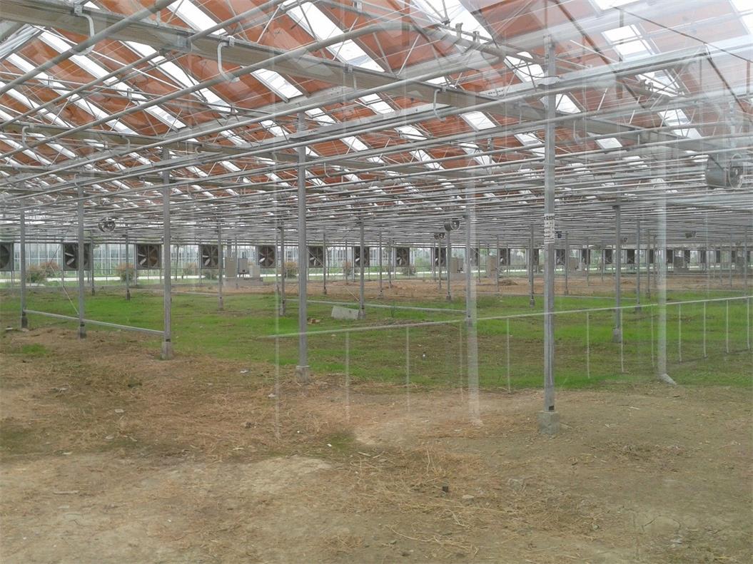 四川光伏溫室大棚